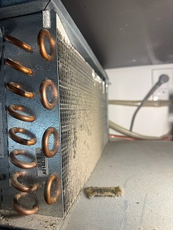 LG French door fridge repair expert in Los Gatos